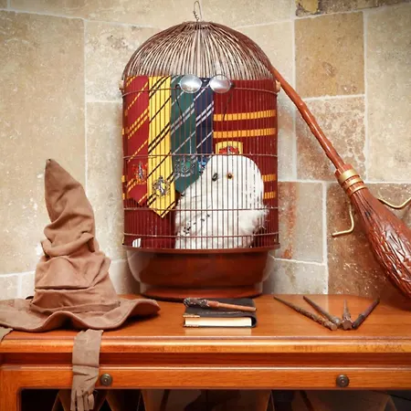Harry Potter - Gameroom- Expérience Magique à Appartement